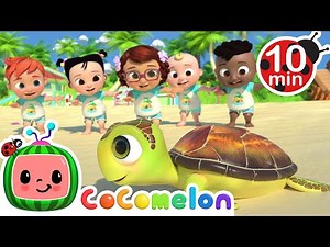 Seeing a turtle! | Play Time with Cody and JJ! | CoComelon Songs for Kids & Nursery Rhymes