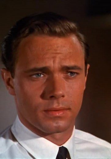 The FBI S01:E29 - The Animal