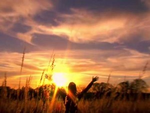 Autumn Sunset motion background loop