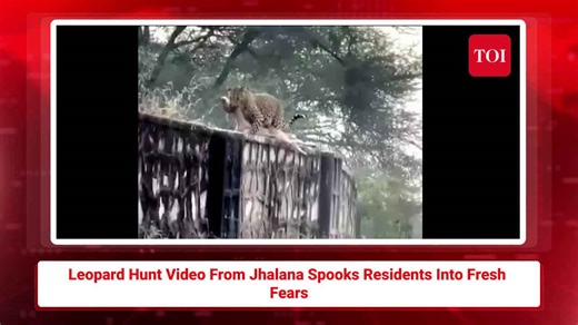 Jaipur Headlines Today — The Biggest Updates You Need to Know