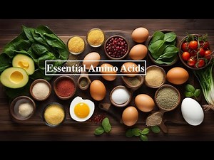Essential Amino Acids | Everything You Need To Know!!