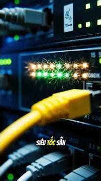 Giải mã Web Hosting: Tại sao máy tính cá nhân không thể thay thế Data Center?