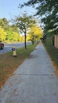 Warden Ave N Rollerblading, Inline Skating Fall 2025 #inlineskating #rollerblading