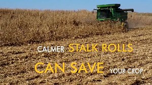 Using a Corn Reel Can Help Harvest Severe Down Corn