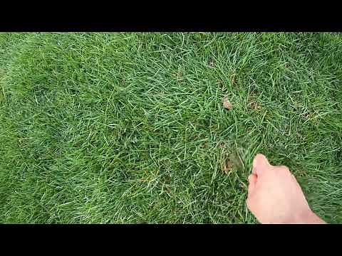How to find a buried sprinkler
