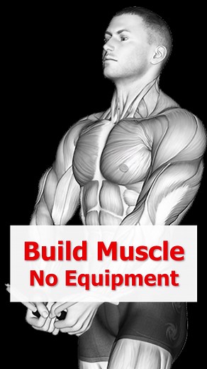 Teenage Full Body Workout at Home Without Equipment