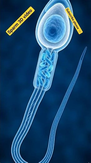 Sparm 3D video #3d #biology #human #science #viral #shorts