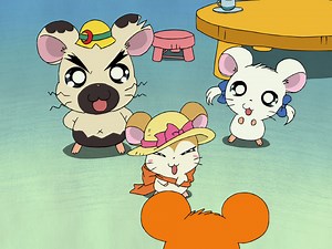 とっとこハム太郎 - とっとこハム太郎 はむはむぱらだいちゅ！ - 289話 (アニメ) | 無料動画・見逃し配信を見るなら | ABEMA