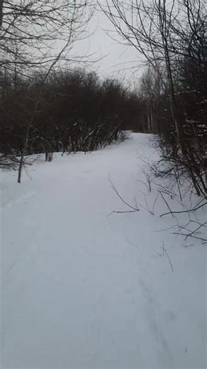 Atelier participatif: la ville idéale! @Renard urbain @Roxanne @Eli San @GeekSeignant @Fru Fru Francis @Catherine Bard 🌿 Art 🍁