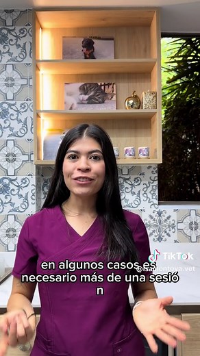 Crioterapia en Perros: Cómo Eliminar Verrugas
