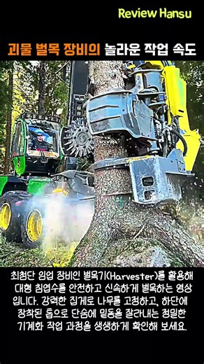 나무 잡고 쓱싹! 괴물 벌목 장비의 놀라운 작업 속도 #worker #process #chainsaw #amazing #machinery