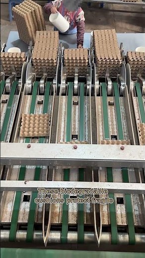 How Pulp Molding Machines Turn Waste Paper into Life-Changing Egg Trays! 🥚🌎