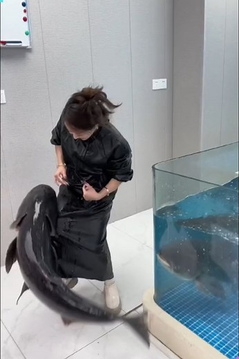 91K views · 416 reactions | The Process of Sending Live Fish Across Miles  #fishpacking #livetransport #aquaticlife #shippingfish #sustainablepacking | Creative Inspiration For You | Facebook