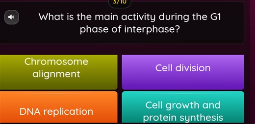 What is the main activity during the G1 phase of interphase?  A... | Filo