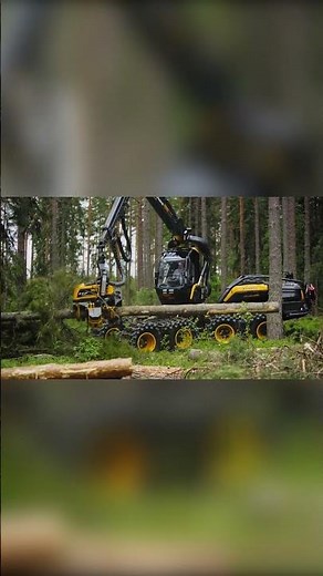 Insane Tree Cutting Machines Changing the Future of Forestry