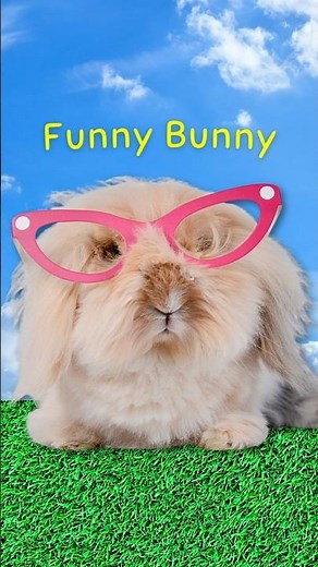 Funny Bunny 😂 Kids Jokes 🐰 Short 4 of 4