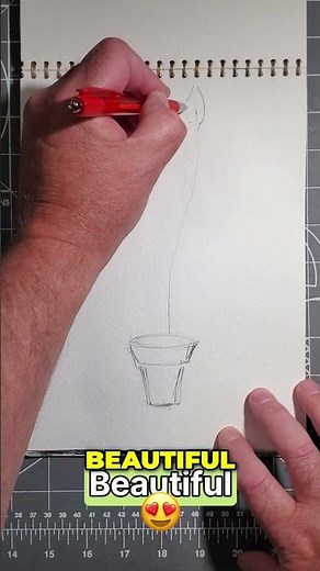 Quick Sketch a Peace Lily: Easy Art Tutorial! (version 1 of 2)