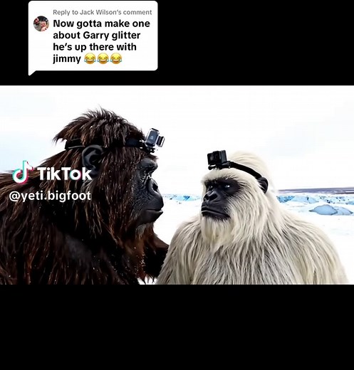 Yeti & Bigfoot on TikTok