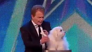 America's got talent Talking dog