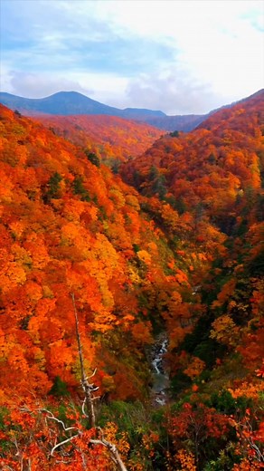 青森の絶景スポットと旅行Vlog