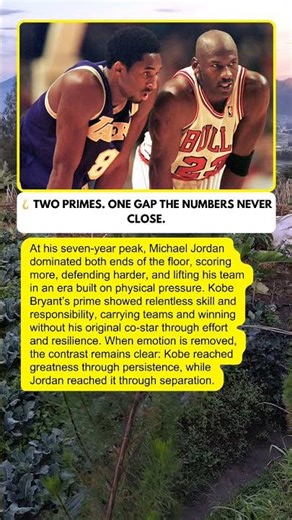 Prime vs Prime: Why the Gap Still Shows