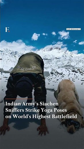 Indian Army's Siachen Sniffers Strike Yoga Poses on World's Highest Battlefield | N18G