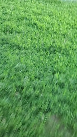 clements.aircon.services on TikTok