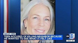 15-year-old suspect accused of attacking neighbor in hot tub before fatal stabbing: TX officials