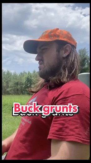 Buck grunt calls #buck #country #deer #deerhunt #deerhunting #deerhunt...