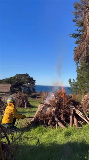 Prescribed fire is one of the most effective tools for restoring healthy landscapes such as northern coastal prairie, a rare and diverse native habitat. It’s estimated that less than 10% of native coastal prairie remains in California today, making it critically endangered. We steward over 1,000 acres of northern coastal prairie, including 350 acres at Carrington Coast Ranch Regional Park. Invasive species, such as non-native cypress trees, are one of the biggest threats to this landscape. These