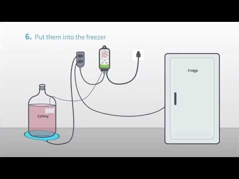 INKBIRD ITC-308 Heating and Cooling Dual Relay Temperature Controller,