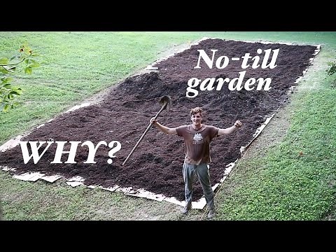 NO - TILL gardening method EXPLAINED + MUSHROOM compost spreading tiiiime