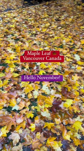Good morning Canada! Hello November! #November #allsaintsday #highlights | Jean Olinggay Rodriguez