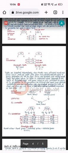 Heredity and Evolution class 10 science chapter 9 notes by Shobhit Nirwan #notes