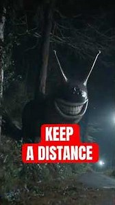 4 Animals That Can Kill WITHOUT TOUCHING You