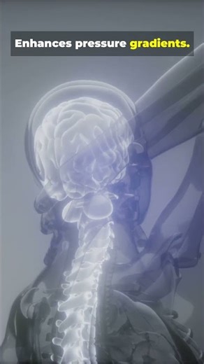 DID YOU KNOW? Cerebrospinal fluid (CSF) circulation relies on gentle spinal movements to ...