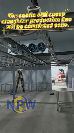 Let me show you the design scheme for a mixed slaughterhouse for cattle and goats. | NPW Slaughter＆Process Equipment