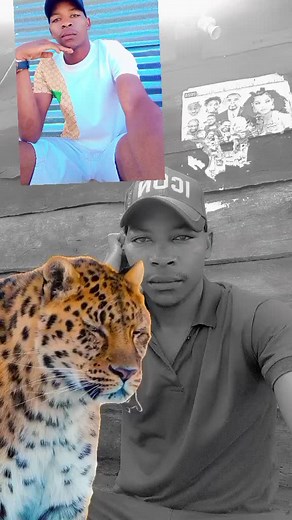 Tonny K (@tonny.k76)’s videos with original sound - SQOOP LARMA Official