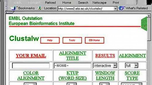 Primer Premier 5·0视频教程