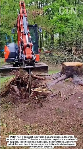 Excavator Root Digging – Precision Stump Removal Technique