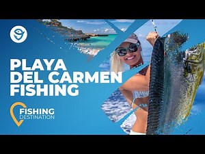 Playa del Carmen Fishing: All You Need to Know | FishingBooker