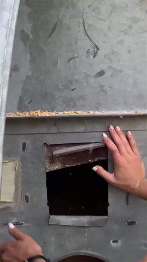 Exploring the grain bin