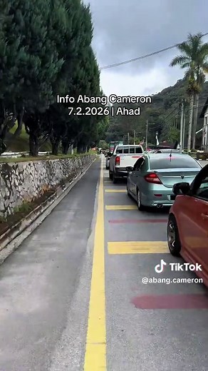 Cameron Highlands: Must-Visit Spots & Activities