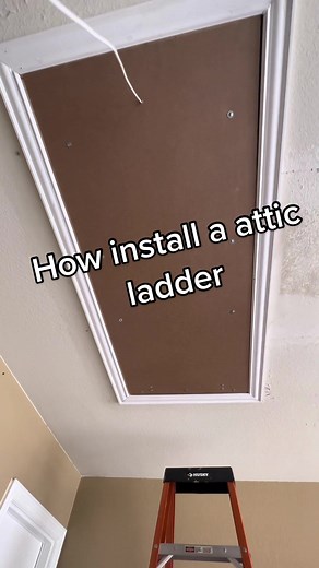 Luis Alejandro Martinez on TikTok