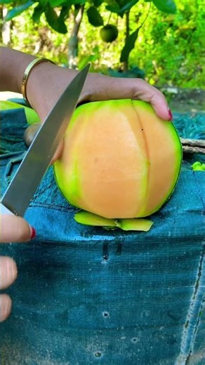 Peel Melon Fruit #melonfruit