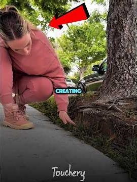 She Built a Tiny Fairy House on the Sidewalk 😮😮