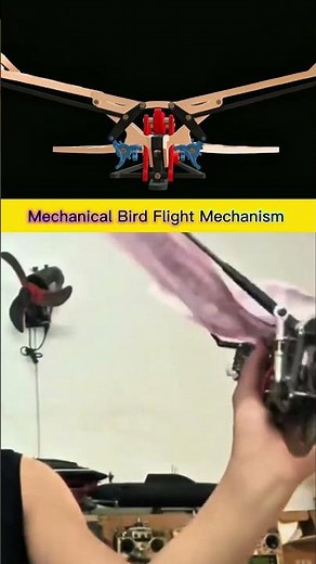 Mechanical Bird Flying Mechanism Using Linkages to Create Realistic Flapping Wings Motion Model Demo