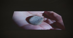 Optical Schema (2023)