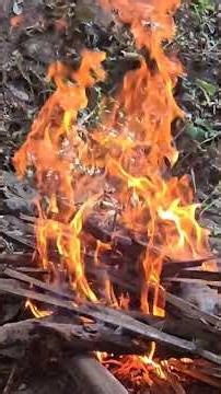 Suab qeej kho siab heev ‪@Koobmeej‬