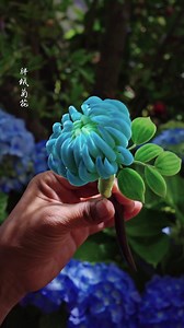 233K views · 4K reactions | Preserving history | Making a traditional velvet flower (ronghua) by hand | Incredible Utilities | Facebook
